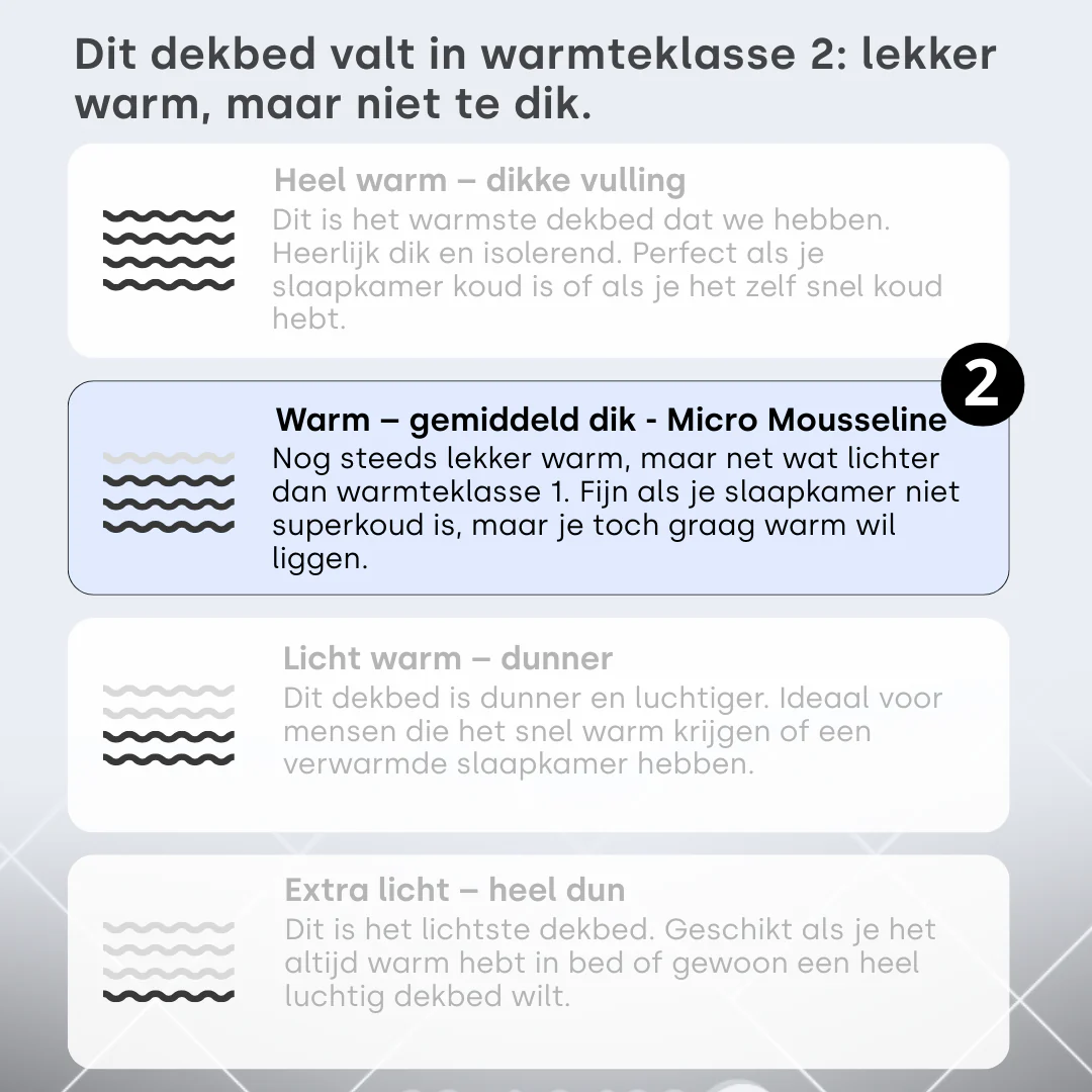 Miniatuur 4